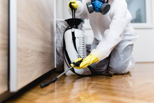 Best Affordable Pest Control Services  in Prairie Ridge, WA