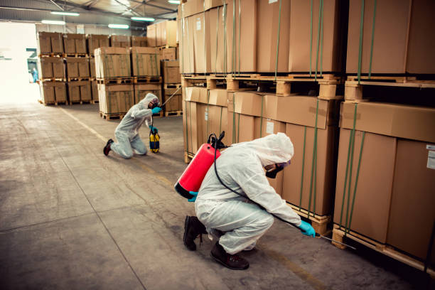 Best Cockroach Control Services  in Prairie Ridge, WA