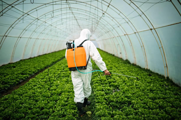 Best Best Pest Control Companies  in Prairie Ridge, WA