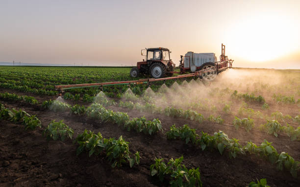 Best Ant Control Services  in Prairie Ridge, WA