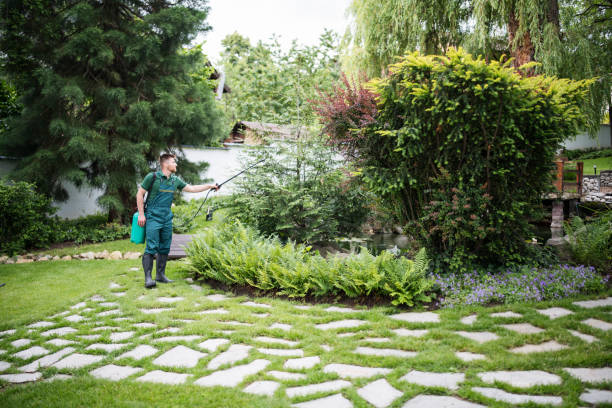 Pest Control for Restaurants in Prairie Ridge, WA