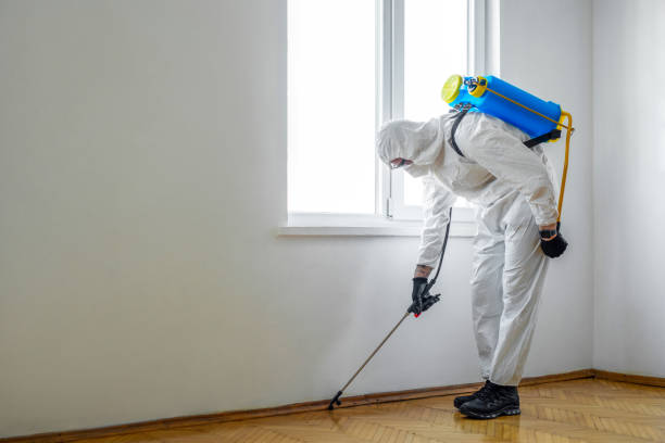 Best Exterminator Services  in Prairie Ridge, WA