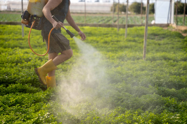 Best Pest Prevention Services  in Prairie Ridge, WA