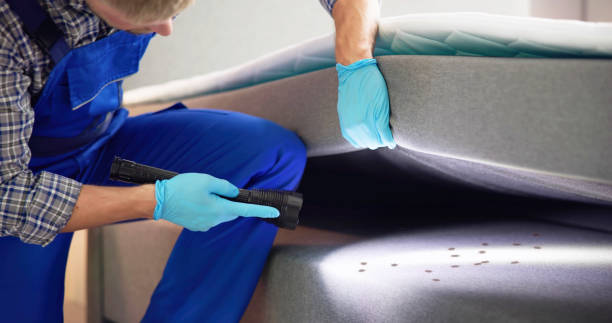 Best Rat Extermination Near Me  in Prairie Ridge, WA