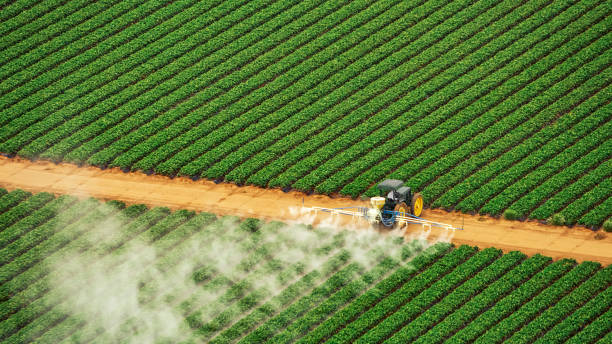 Best Commercial Pest Control Services  in Prairie Ridge, WA