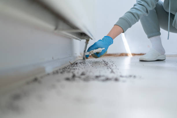  Prairie Ridge, WA Pest Control Pros