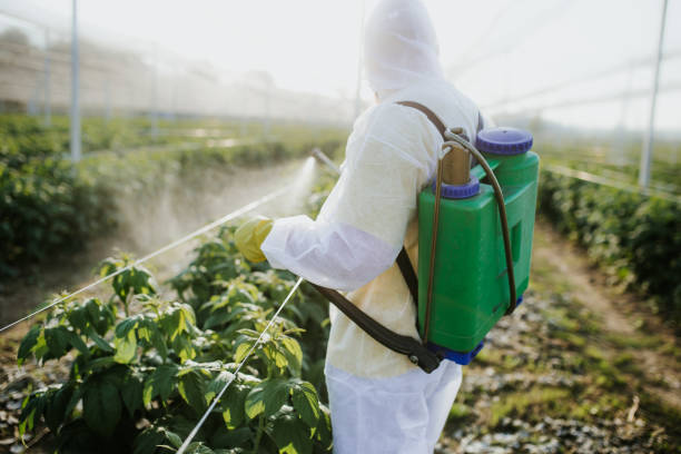 Best Pest Prevention Services  in Prairie Ridge, WA